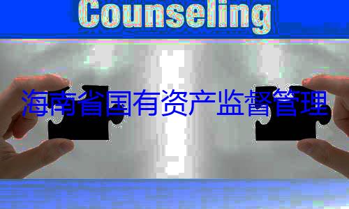 理委员会党委副书记王海南省国有查调查有福接受审资产监督管